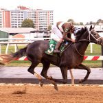 Lacey Gaudet hoping hot streak continues in What a Summer