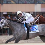 Jockey Club predicts smaller 2024 foal crop