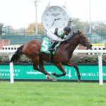 Timetable for closing Pimlico to training remains unclear