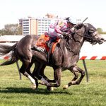 Maryland Million: Hamilton Smith seeking first Classic