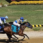Delaware: Owners Day set for 31st renewal