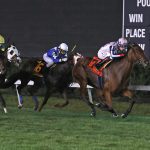 Ournationonparade aims for second Maryland Million Classic