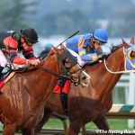Stakes-quality field heads Laurel Friday feature
