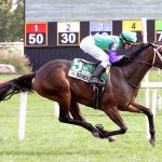 Maryland-breds, sires prominent in Fasig-Tipton yearling sale