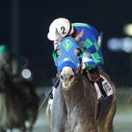 Best horses to run at Delaware Park are…