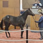 Jockey Wesley Ho notches 1,000th win