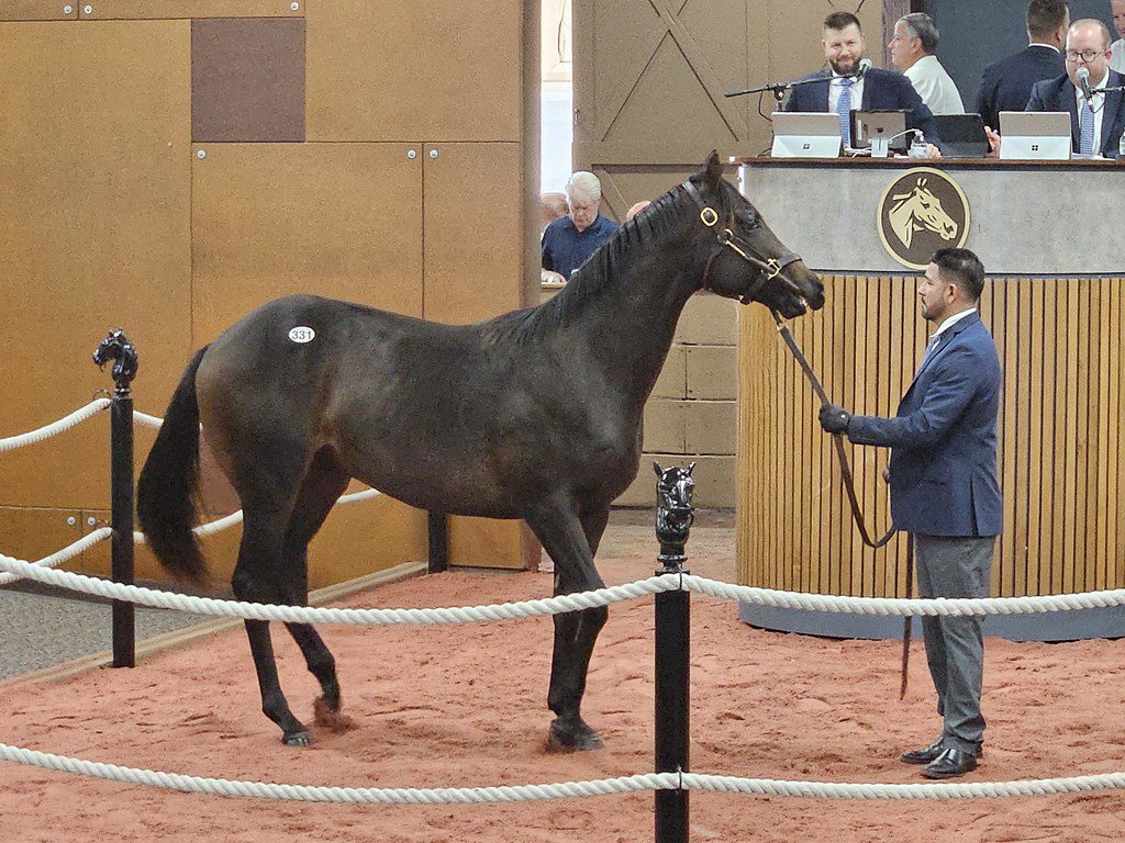 Fasig-Tipton