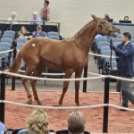 Fasig-Tipton mixed sale dips; Ghostzapper colt is topper