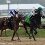 Stallion True Valour moves to Virginia