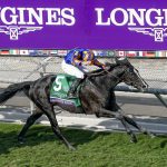 Breeders’ Cup: Behind every horse a human story