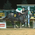 Charles Town: Direct the Cat a handful in Casey Memorial