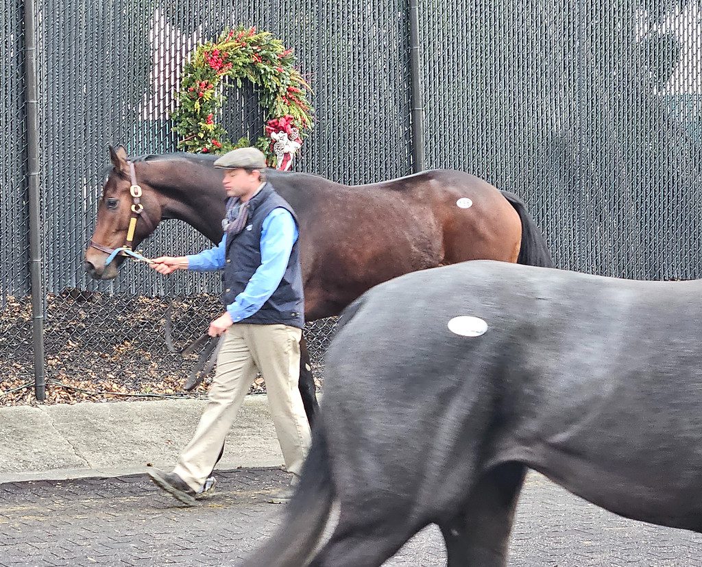 Fasig-Tipton
