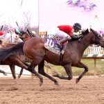 Jevian Toledo, Greeley and Ben star in Laurel stakes