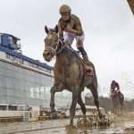 VIDEO: Laurel Park stakes highlights