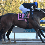 Triple Crown: Big field set to contest Sam F. Davis