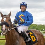 Endorsed to stand at Northview Stallion Station