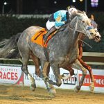 Circle P looks to round back into form in Miracle Wood