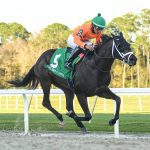 Trainer Cal Lynch nets 1,000th career victory