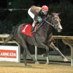 Preakness future wager to kick off Feb. 29