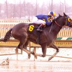 Maryland horse industry impact surges