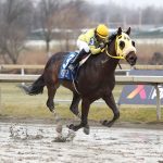 Coastal Mission named WV-bred Horse of the Year