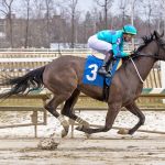 Ms. Bucchero, Spencerian square off in What A Summer
