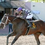 Chelsey Moysey readying for Delaware Park season