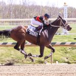 Coastal Mission wins Whiteley thriller