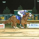 Big Big Star, the win, the layoff, and the race that wasn’t