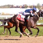 Midlantic stakes thumped by graded stakes committee