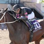 Triple Crown: Preakness tickets punched?