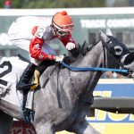 Studlydoright lives up to name in debut win