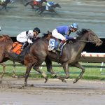 VIDEO: Mystik Dan arrives at Pimlico for Preakness 149