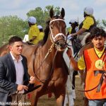 “Life-changing” Witty looks live in McKay Turf Sprint