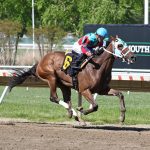 May wagering handle ticks up