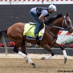Butch Reid: “Definitely special” to take Preakness swing
