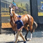 Pimlico: 10 great moments