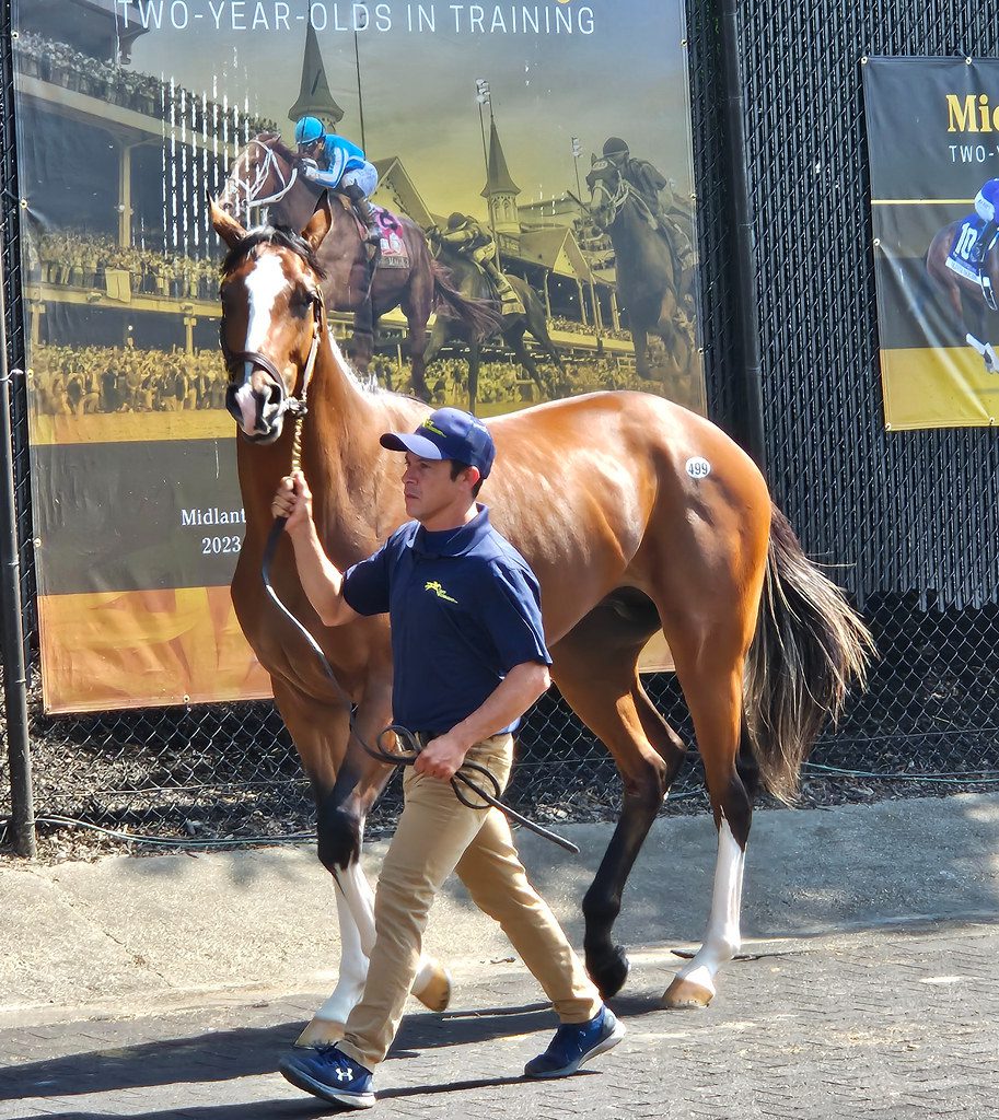 Fasig-Tipton