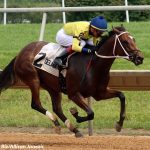 Tough field to meet in Fancy Buckles