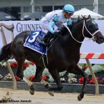 Frost Free ices competition in Chick Lang Stakes