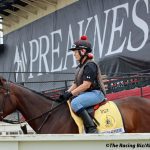 Preakness win makes Jaime Torres jockey of the week