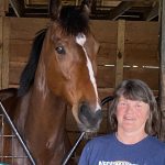 National wagering handle down sharply in April