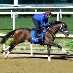VIDEO: Mystik Dan arrives at Pimlico for Preakness 149