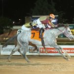 Catching Freedom will contest the Preakness