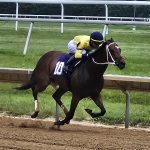 Nick’s Turf 10: Cugino leading