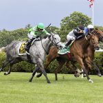 Experts’ Belmont Stakes undercard stakes picks