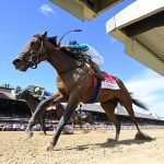 Dornoch springs Belmont Stakes upset