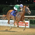 “Most exciting thing”: Book’em Danno caps big Midlantic weekend