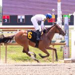 Beauty of the Sea shines in Goldwood