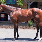 Returning champs to bolster Colonial Downs jockey colony